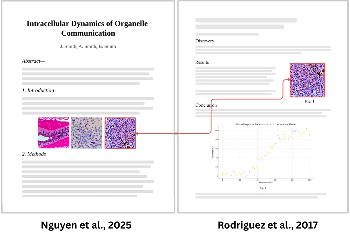 Image plagiarism checker detecting reused histology images between published manuscripts to maintain image integrity.
