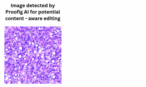 Example of scientific image manipulation detection showing content-aware edits, where algorithmic filling or retouching synthesizes replacement pixels highlighted by similarity lines and color maps.